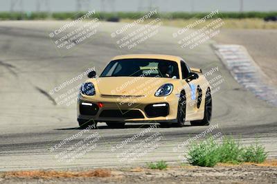 media/Jul-27-2024-Speed Ventures (Sat) [[14cea0cda4]]/Black/Grapevine 1035am/